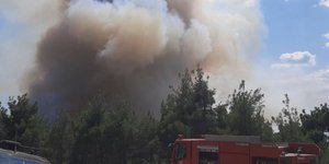 Φωτιά στο Φράγμα Λύρας στο Σουφλί