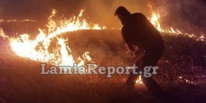 Πυρκαγια στη Στυλίδα
