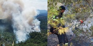 Φωτιά στο δάσος της Δαδιάς