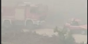 Πυκνός καπνός έχει καλύψει το δάσος της Δαδιάς