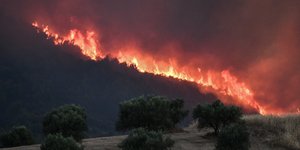 Mεγάλη πυρκαγιά στα Κρέστενα στην Ηλεία