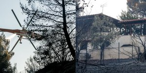 Τα καμένα στην Πεντέλη