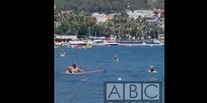 Τούρκος λουόμενος άρχισε να χτυπά «καρχαρία» με σφουγγαρίστρα»