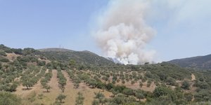 Φωτιά στο Ακριτοχώρι Μεσσηνίας