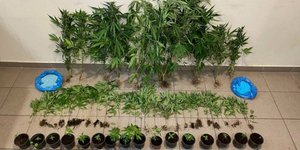 Λέσβος ναρκωτικά όπλο