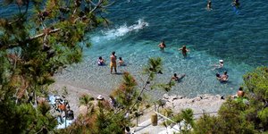 Μεσογειακοί καύσωνες -Μπαρακούντα, λαγοκέφαλοι, γιγάντιες μέδουσες