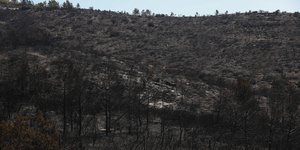 Καμένη έκταση στην Πεντέλη