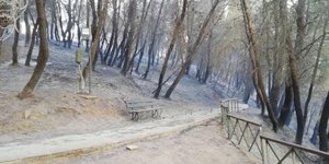 Η φωτογραφία που δημοσίευσε το υπουργείο Πολιτισμού