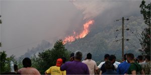 Πυρκαγιά στη Βάλμη Ηλείας