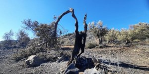 Φωτιά πυρκαγιά Ρέθυμνο