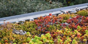 Πρασινες ταρατσες