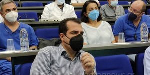 Θάνος Πλεύρης
