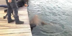 Σύλληψη άνδρα Θεσσαλονίκη