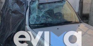 Εύβοια αυτοκίνητο αγριογούρουνα
