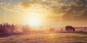 Πού οφείλεται η αύξηση στη διάρκεια της μέρας - Οι επιστήμονες ψάχνουν την αιτία