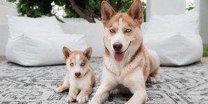 Φωτογραφία: instagram