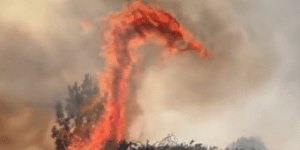 Δράκος της φωτιάς