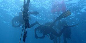 Καθαρισμός στο βυθό στην Αλόννησο
