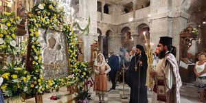 εικονα κιτρινα λουλουδια