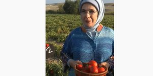 Η Εμινέ Ερντογάν μαζεύει ντομάτες