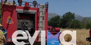 Φωτιά στα Ψαχνά Ευβοιας