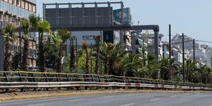 300 φοίνικες φυτεύτηκαν στη Συγγρού