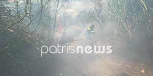 Φωτιά Πύργος Ηλείας
