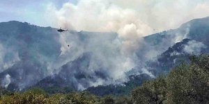 Μάχη με τις φλόγες για να τεθεί υπό έλεγχο η φωτιά στη Θάσο