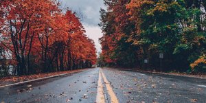 δρόμος με κόκκινα φύλλα