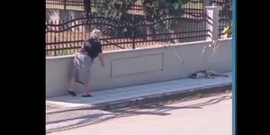 Η στιγμή που γιαγιά πετάει μαγκούρα σε σκυλάκι