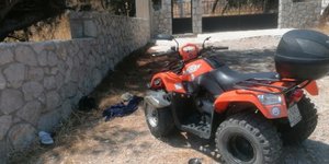 Γουρούνα