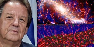 Η ανάρτηση του καθηγητή Γραβάνη για το σύμπαν και τον ανθρώπινο εγκέφαλο
