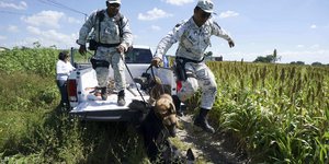 σκυλος αστυνομικοι 