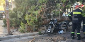 Το δέντρο που καταπλάκωσε τον μοτοσικλετιστή