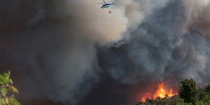 Πορτογαλία: Αναζωπυρώθηκε η πυρκαγιά στον εθνικό δρυμό - «Στάχτη» πάνω από 150.000 στρέμματα