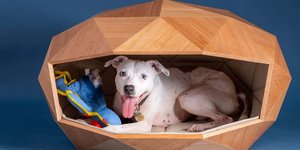 Ενα καινοτόμο σπιτάκι σκύλου