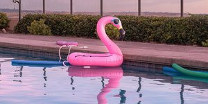 ζώδια προβλέψεις