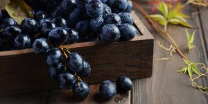 μαυρο σταφυλι 