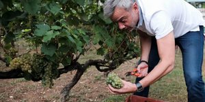 Ο Κωνσταντίνος Ζερβας στον αμπελώνα της Θεσσαλονίκης