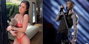 Άνταμ Λεβίν, μοντέλο 