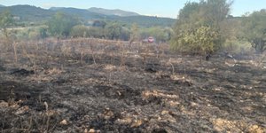 Φωτιά στη Μεσσηνία