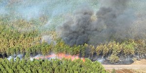 δασος μαυροι καπνοι 