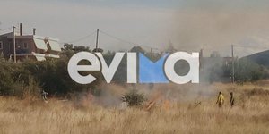 Φωτιά καίει κοντά σε σπίτια σε οικισμό της Χαλκίδας