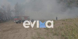 Εύβοια Ροβιές φωτιά πυροσβεστική