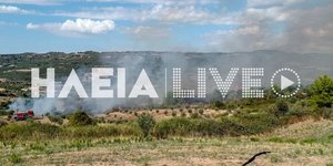 Πηγή φωτογραφίας Ηλεία live