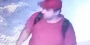 γάτα, άνδρας σκότωσε γατάκι 