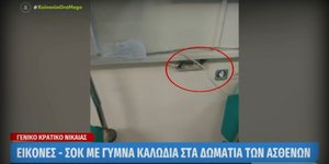 Γενικό Κρατικό Νίκαιας, γυμνά καλώδια