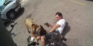 Ύποπτος σημαδεύει Κ9 στο κεφάλι με όπλο