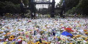 λουλουδια καγκελοπορτα 