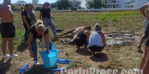 Κέρκυρα: Άφησαν άλογο χωρίς νερό και τροφή και πέθανε